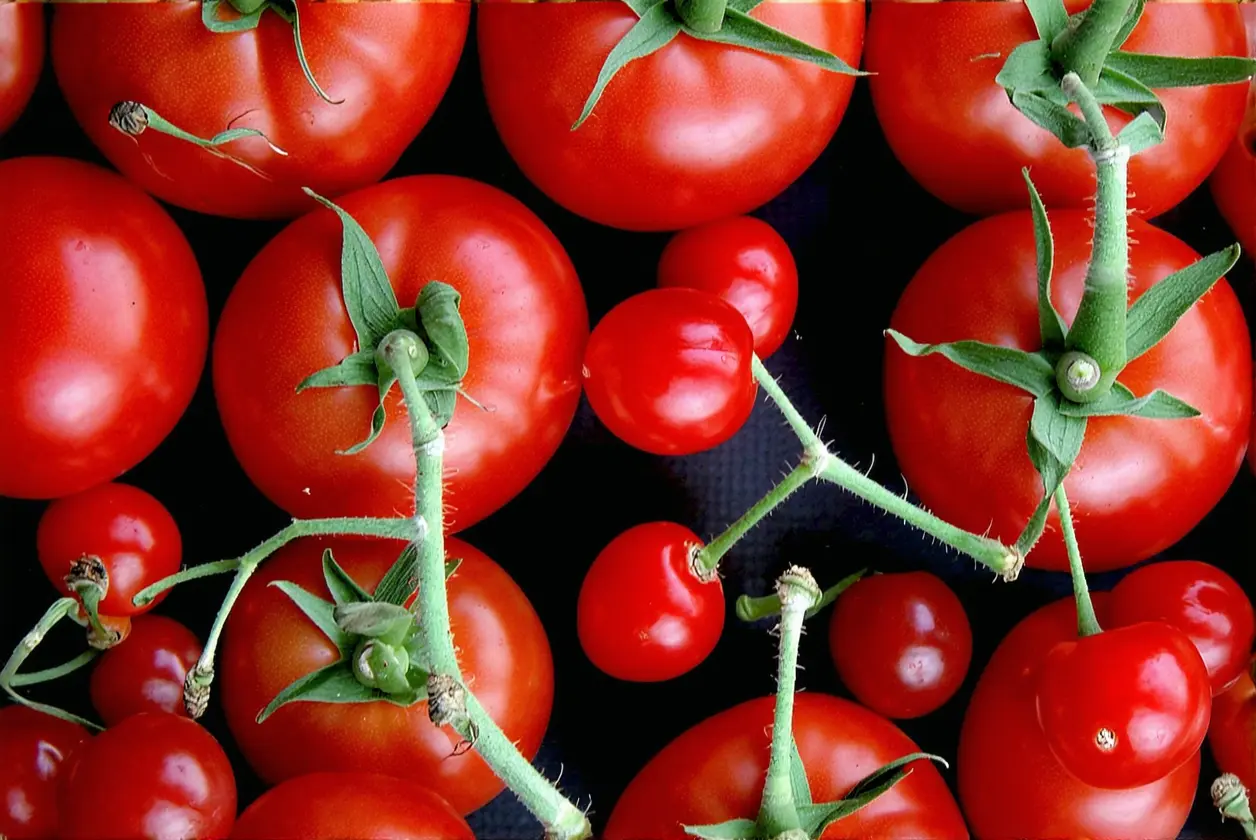 L'erreur que toutes les femmes font avec leurs tomates cerises (et comment l'éviter)
