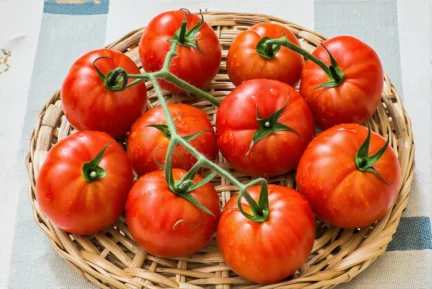 Vacances : comment bien conserver vos tomates pour éviter qu’elles ne s’abîment trop vite ?