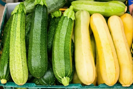 Vacances : comment bien choisir vos courgettes au marché en été ?